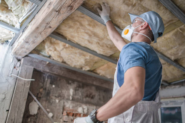 Best Insulation for Specific Applications in Sunny Isles Beach, FL