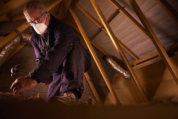 Best Residential Insulation in Sunny Isles Beach, FL