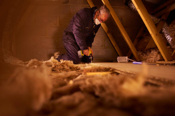 Best Blown-in Insulation in Sunny Isles Beach, FL