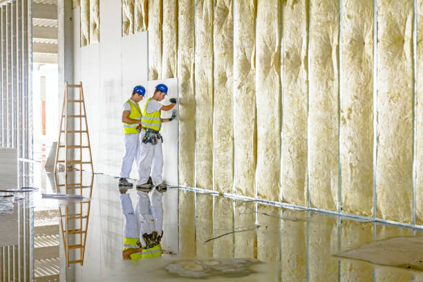 Best Blown-in Insulation in Sunny Isles Beach, FL